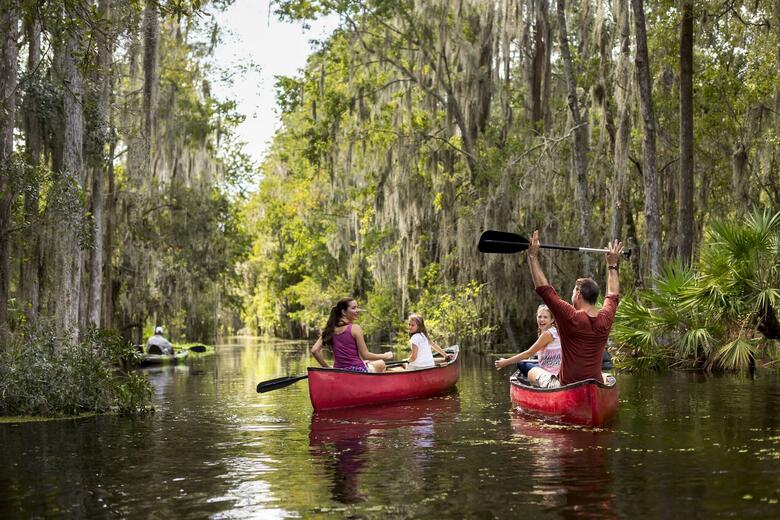 Hotel The Ritz-carlton Orlando, Grande Lakes