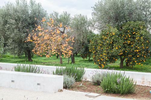 Bed & Breakfast Le Stanze Di Mel�