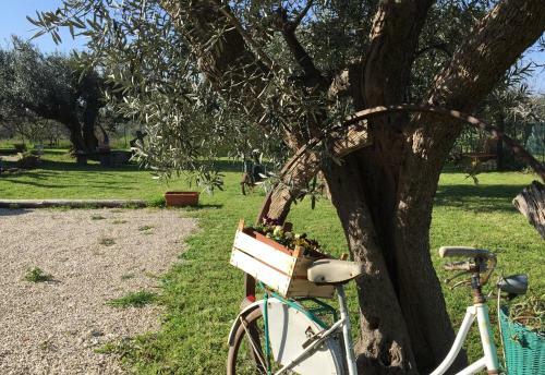 Bed & Breakfast C'era UNA Volta Podere San Giovanni
