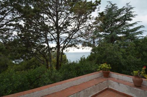 Villa Maratea