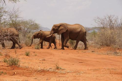 Sagala Lodge