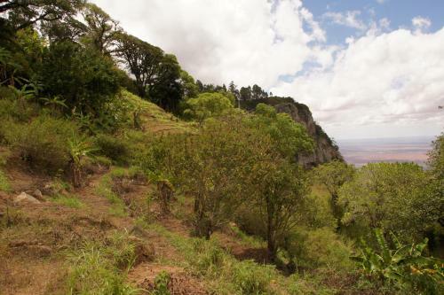 Sagala Lodge