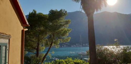 Garden Apartmant Near Sea *new