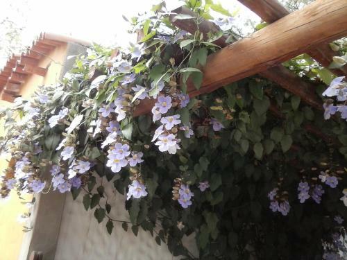 Bed & Breakfast La Tranquera Cafayate