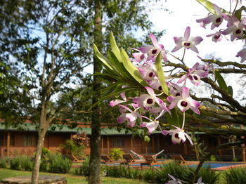 Hotel Posada 21 Oranges