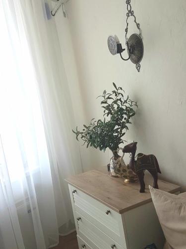 Apartment On Nabieriezhnaia 11