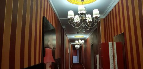 Hotel Rentier Central