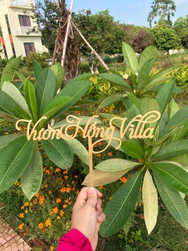 Villa Rose Garden