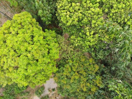 Mai Chau Family Homestay