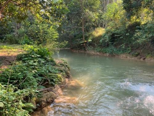 Mai Chau Family Homestay
