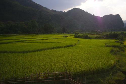 Mai Chau Family Homestay