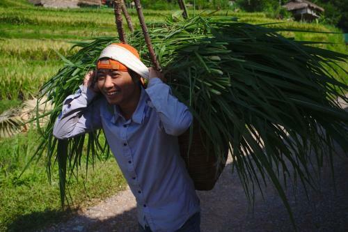 Mai Chau Family Homestay