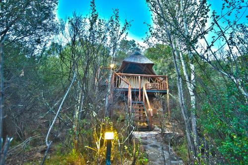 Letsatsi Game Lodge