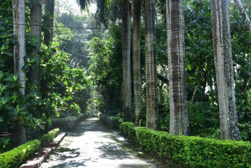 Soudhamini Home Stay