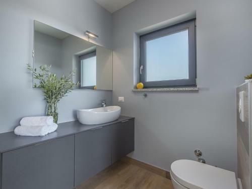 Modern Villa In Dracevac With Swimming Pool