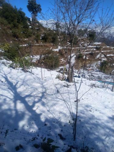 Mussoorie Camp Resort