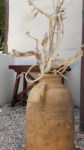 Agroturismo L'ulivo Bianco