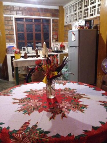 Bed & Breakfast Amazonia Guest House