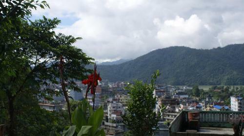 Hostal Peace Guest House