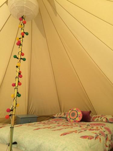 Cong Glamping