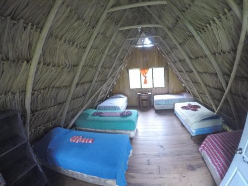 Albergue Hostal Oasis The Traveler