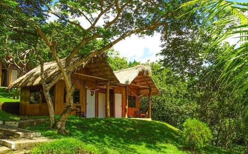 Albergue Hostal Oasis The Traveler