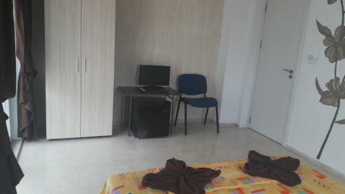 Hostal Dracena Guesthouse