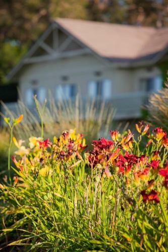 Hotel Temecula Creek Inn