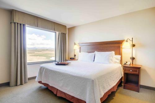 Hotel Hampton Inn & Suites Pinedale