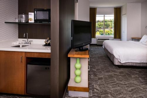 Hotel Springhill Suites Pittsburgh Southside Works