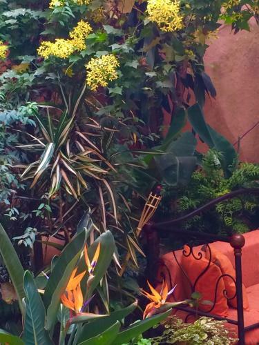 Hostal Chambres D'h�tes Chez Aina