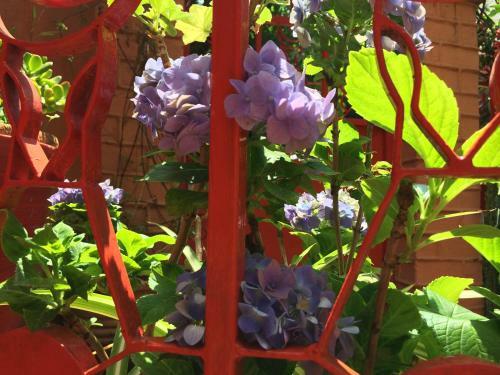 Hostal Chambres D'h�tes Chez Aina