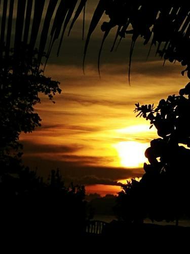 Posada Reggae Guesthouse