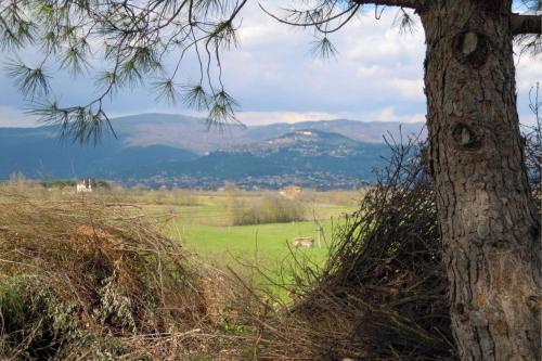 Le Casine-perignano-spinelli Apartment Sleeps 6