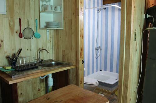 Apartamento Caba�as En Villarrica