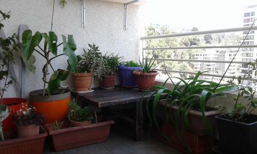 Apartamento Departamento Vi�a Plaza 3