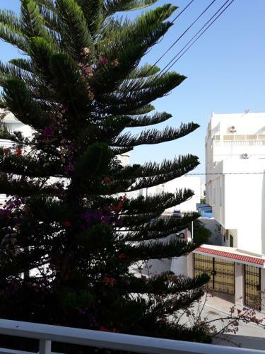 Apartamento Superbe Appartement Bord de Mer