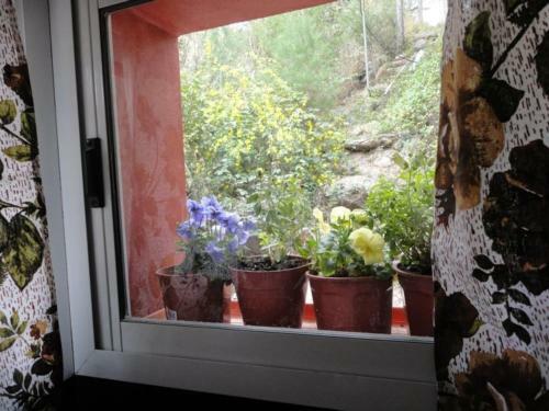 Lodge Caba�a Las Fucsias I