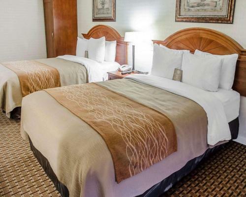 Motel Comfort Inn - Toronto Northeast