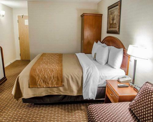 Motel Comfort Inn - Toronto Northeast
