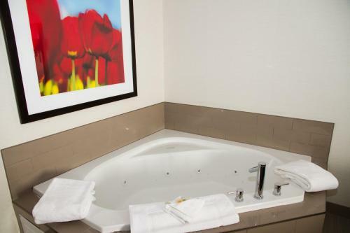 Holiday Inn Hotel & Suites Red Deer