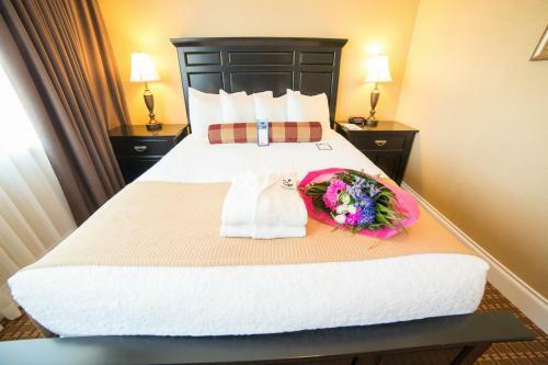 Hotel Cozystay Signature Abercorn Inn