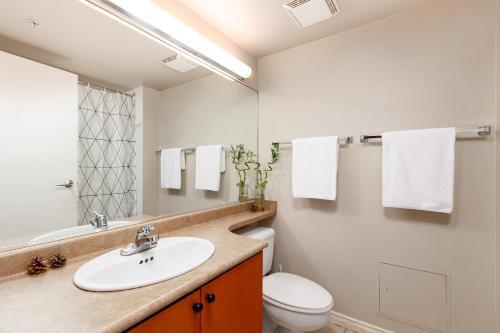 Cozy Apartment Near Minoru Park