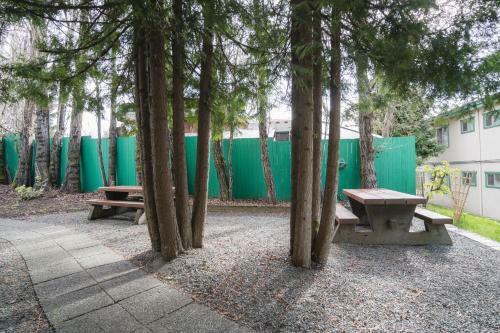 Motel Robin Hood Inn And Suites