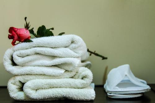 Mga Hostel & Tours