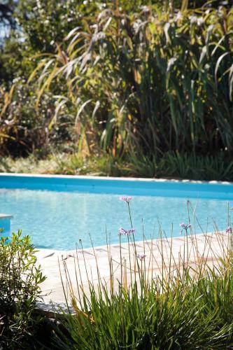 Lodge Las Retamas Apart Boutique