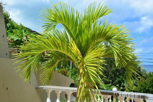 Hotel Villa Anse La Blague
