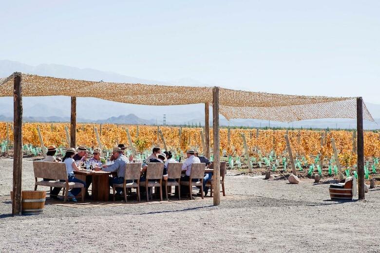 Hotel Casa De Uco Vineyards And Wine Resort