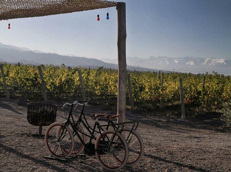 Hotel Casa De Uco Vineyards And Wine Resort