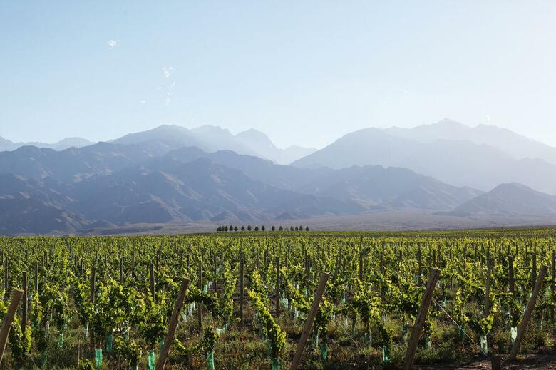 Hotel Casa De Uco Vineyards And Wine Resort
